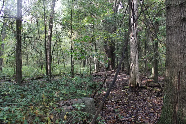 $539,000 | -vl South Mason Road, Ashley, MI 48806