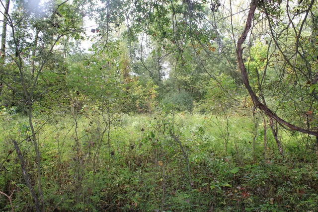 $539,000 | -vl South Mason Road, Ashley, MI 48806