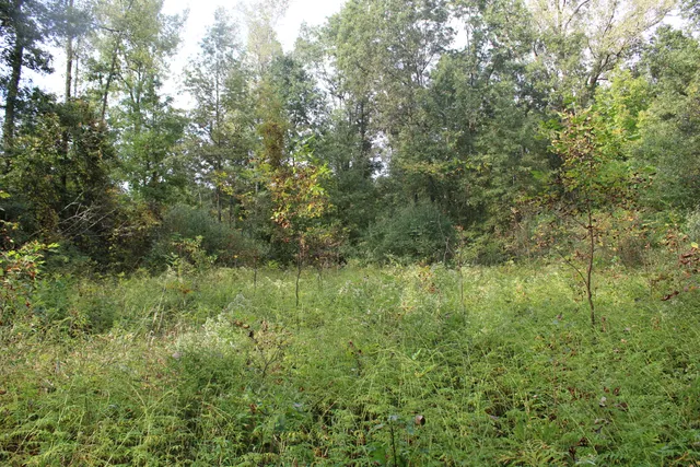 $539,000 | -vl South Mason Road, Ashley, MI 48806