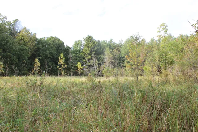 $539,000 | -vl South Mason Road, Ashley, MI 48806