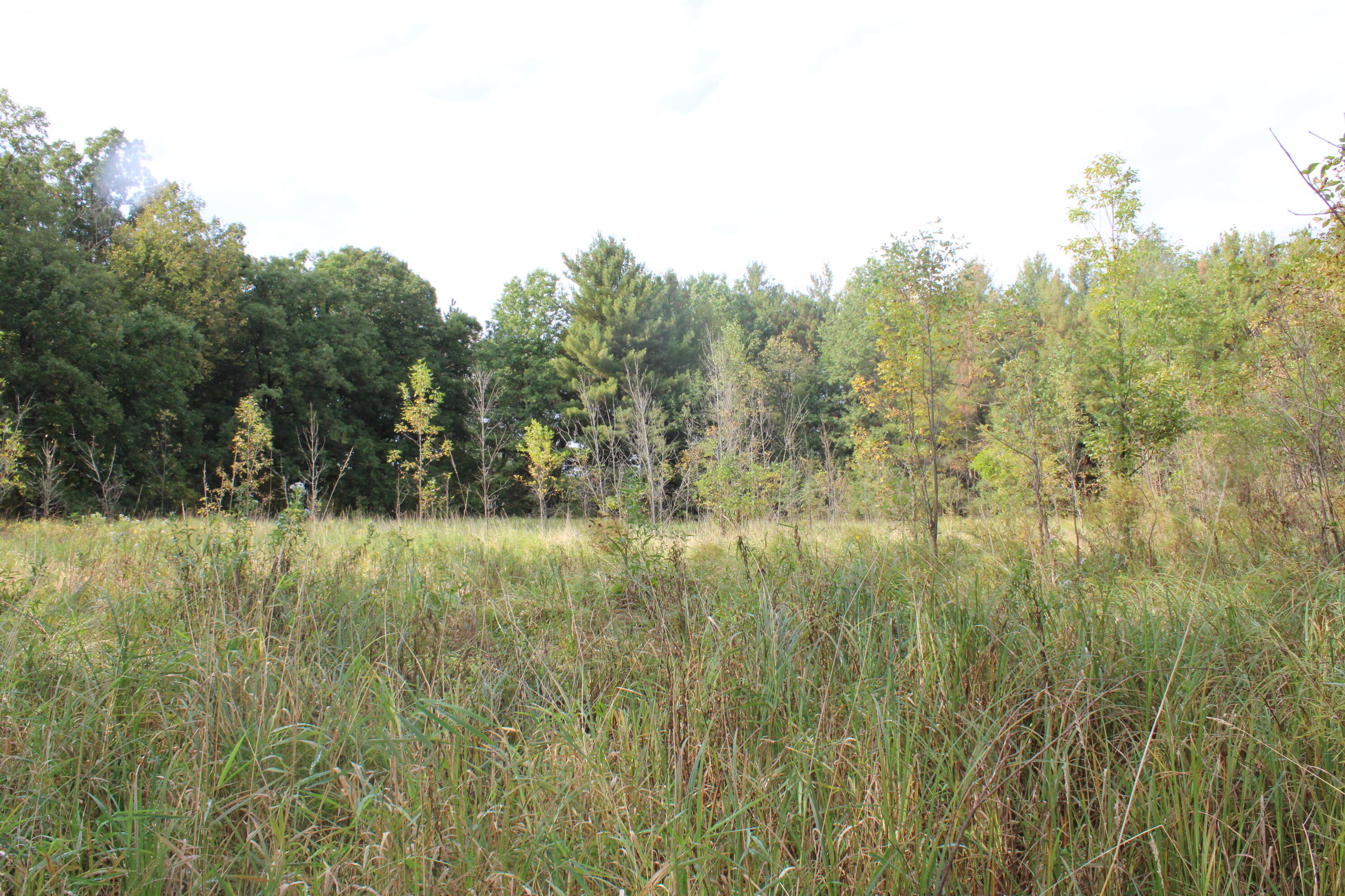 -vl South Mason Road Ashley, MI 48806 - Photo 38 of 44 IMG_5058