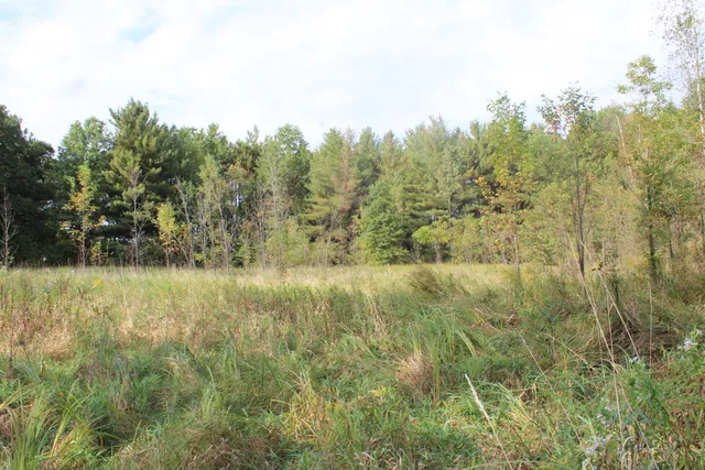 $539,000 | -vl South Mason Road, Ashley, MI 48806