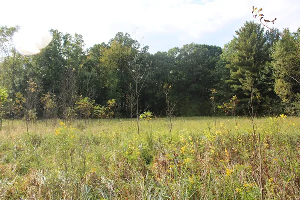 $539,000 | -vl South Mason Road, Ashley, MI 48806