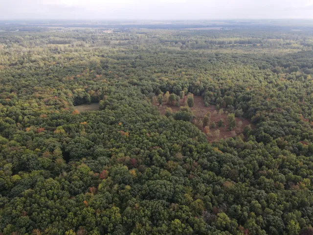 $539,000 | -vl South Mason Road, Ashley, MI 48806