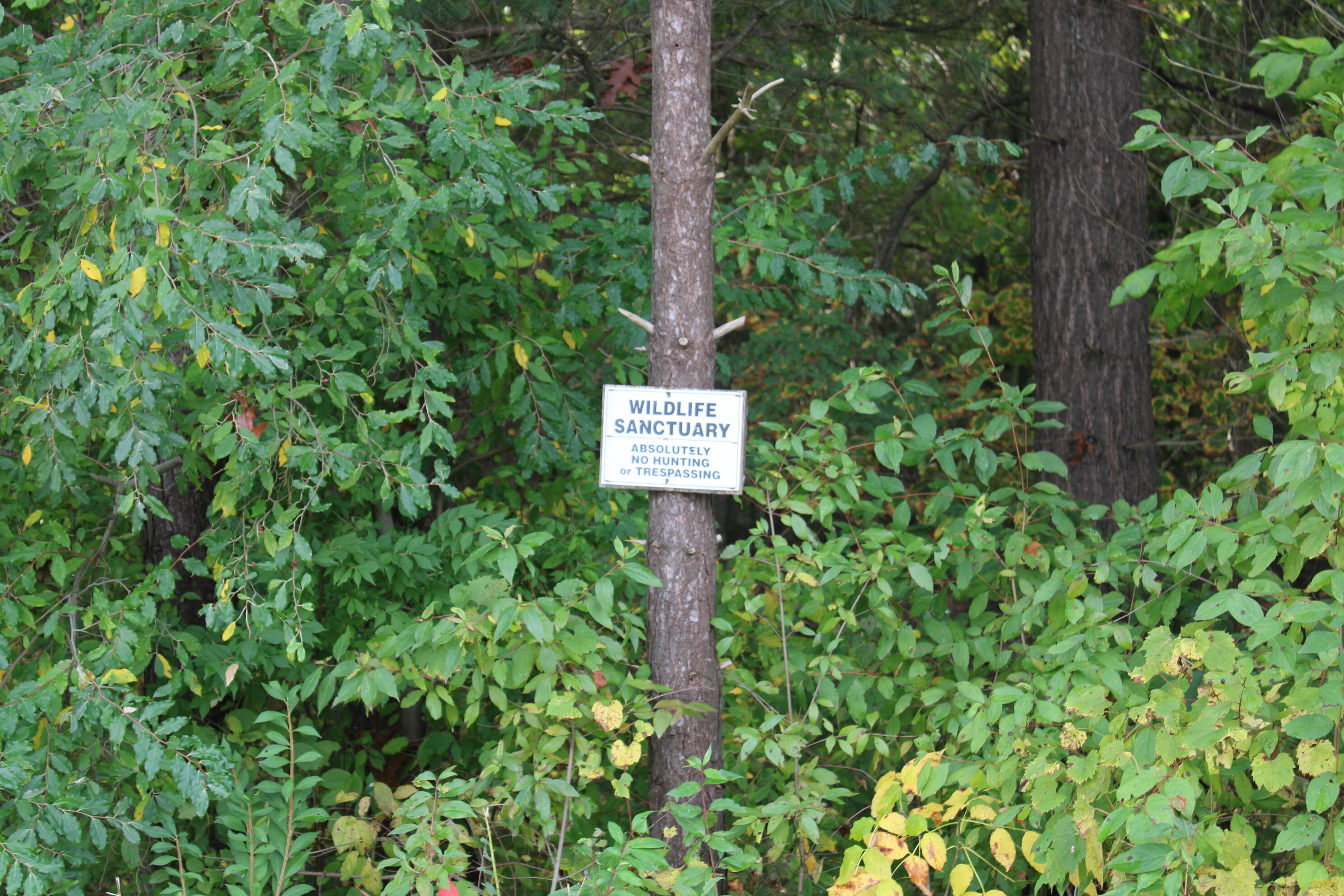 -vl South Mason Road Ashley, MI 48806 - Photo 43 of 44 IMG_5063