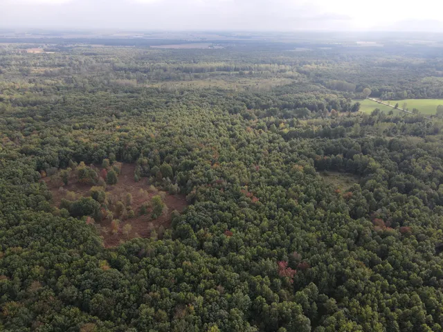 $539,000 | -vl South Mason Road, Ashley, MI 48806