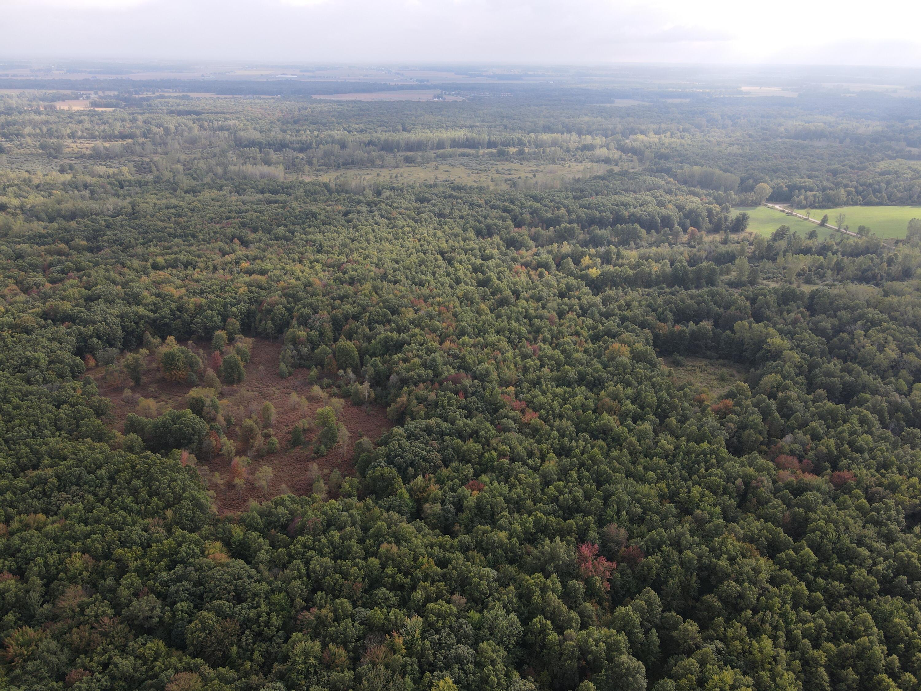 -vl South Mason Road Ashley, MI 48806 - Photo 5 of 44 DJI_0708