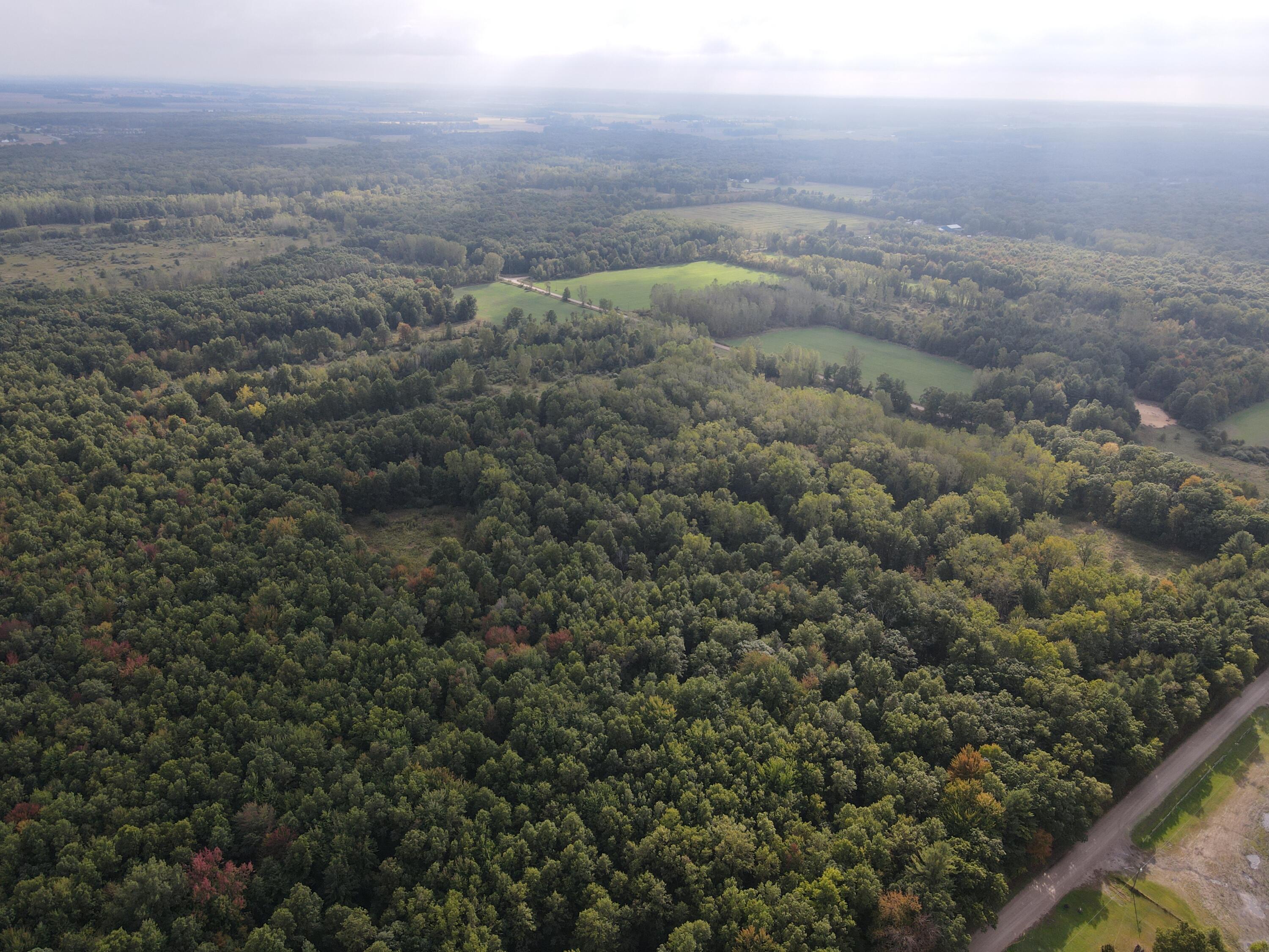 -vl South Mason Road Ashley, MI 48806 - Photo 6 of 44 DJI_0709