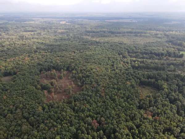 $539,000 | -vl South Mason Road, Ashley, MI 48806