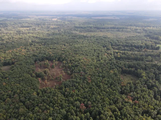 $539,000 | -vl South Mason Road, Ashley, MI 48806