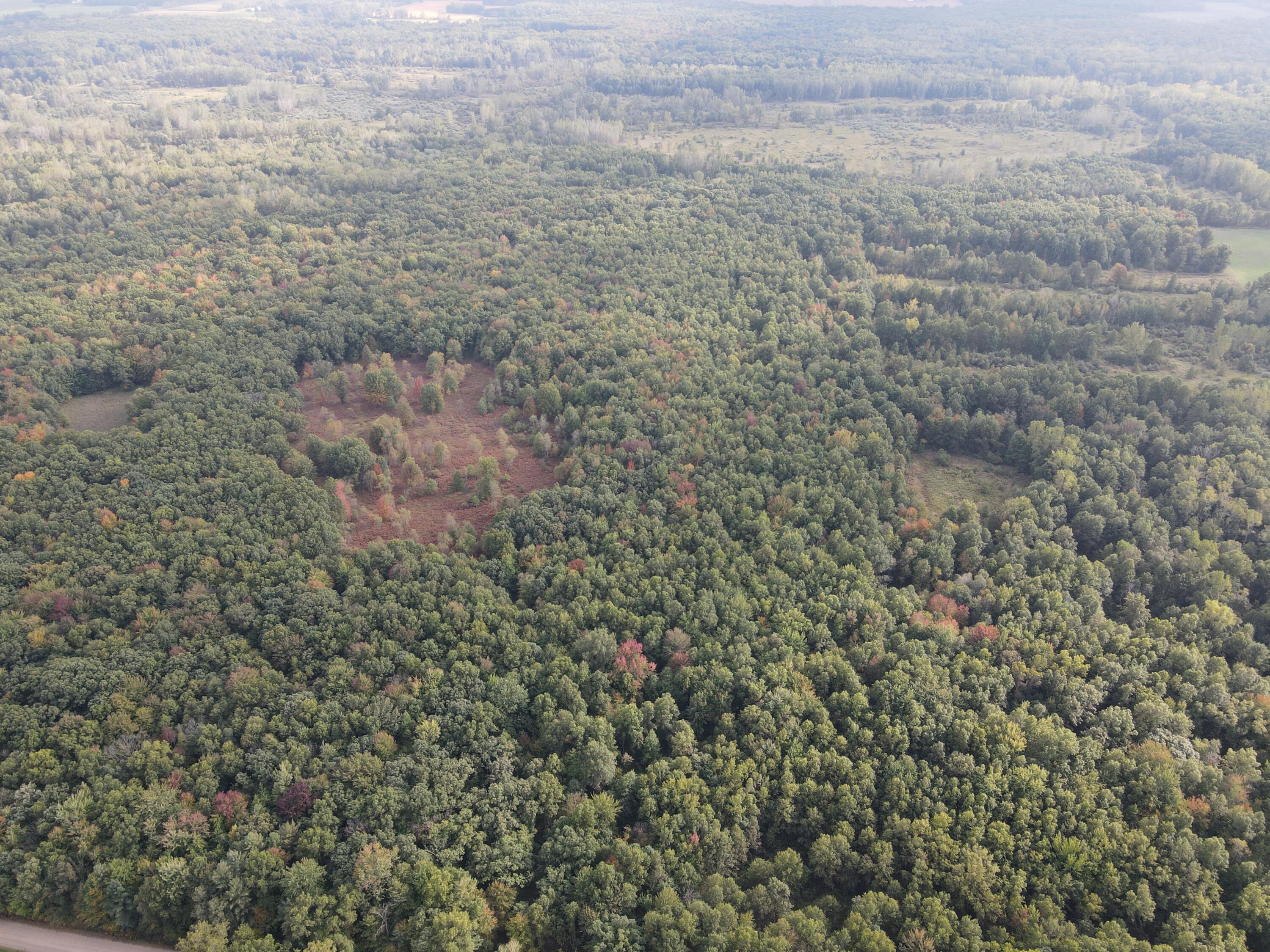 -vl South Mason Road Ashley, MI 48806 - Photo 8 of 44 DJI_0711