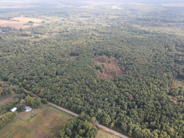 $539,000 | -vl South Mason Road, Ashley, MI 48806