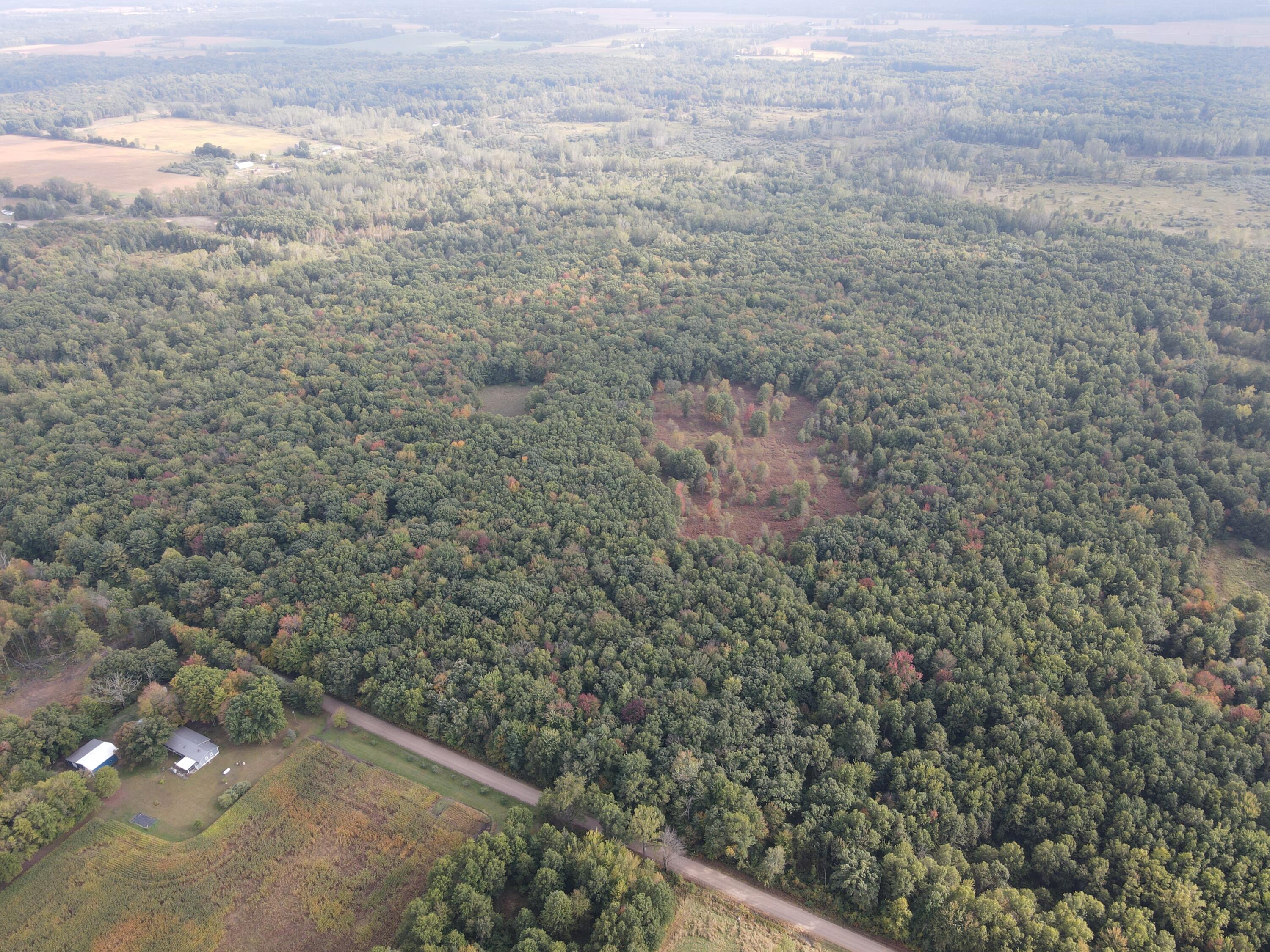 -vl South Mason Road Ashley, MI 48806 - Photo 10 of 44 DJI_0713