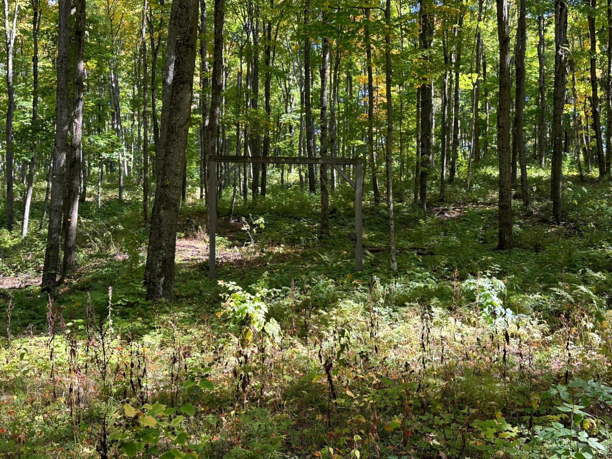 Off County Line Lake Road Watersmeet, MI 49969 - Photo 20 of 28 Gallery Image 20