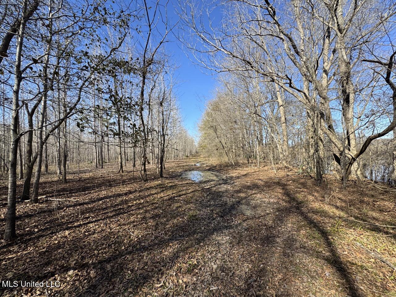 165 Mitchell Road Jonesville, LA 71343 - Photo 41 of 56 IMG_1766 Large