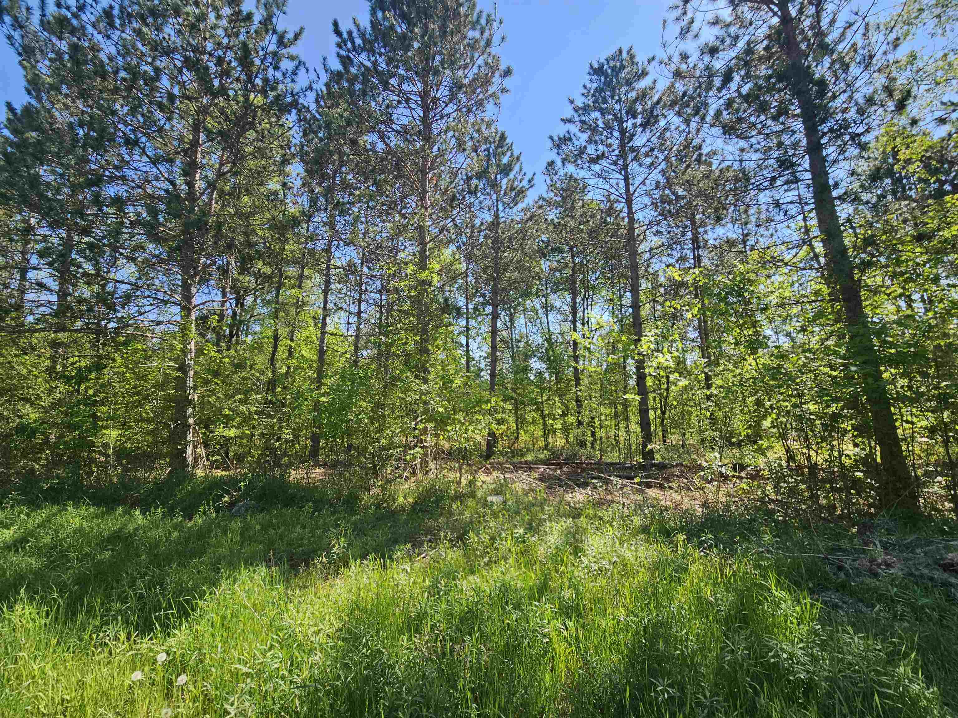 5350 East Cranberry Lake Road Harrison, MI 48625 - Photo 4 of 23