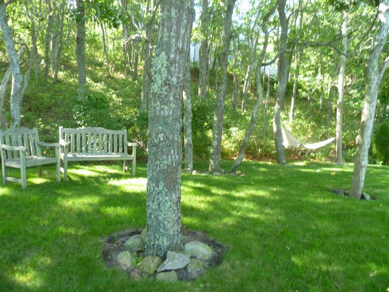 14 Sherman Road Orleans, MA 02653 - Photo 33 of 35 Additional Photo