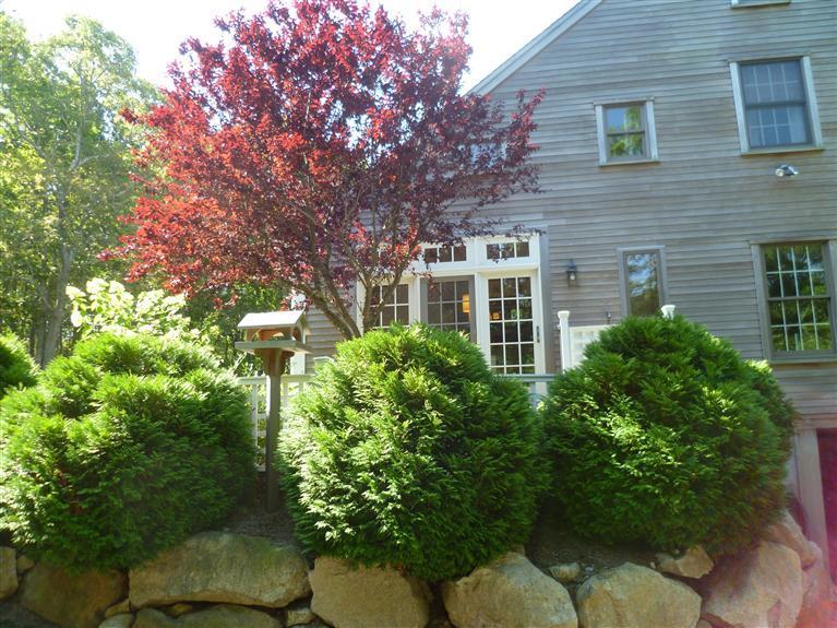14 Sherman Road Orleans, MA 02653 - Photo 6 of 35 Additional Photo