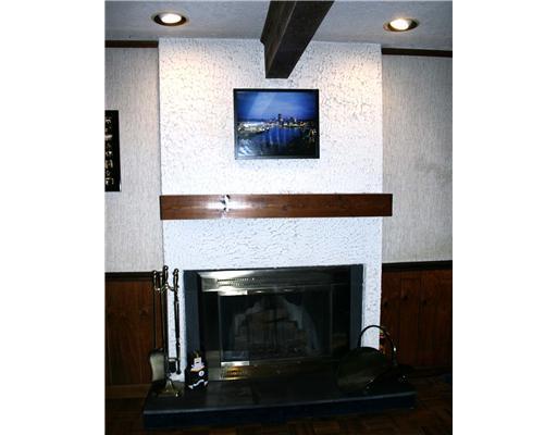 3170 Laurel Ridge Circle Bridgeville, PA 15017 - Photo 11 of 18 Other. Log Burning Fireplace