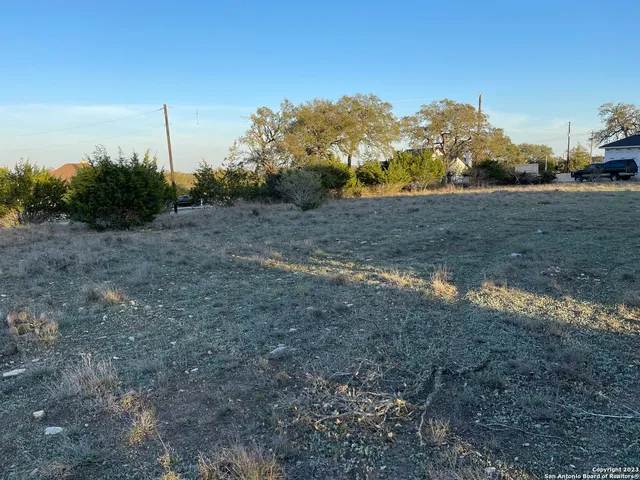 a view of a dry yard with trees