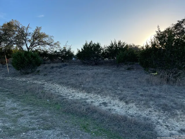 a view of a dry yard with trees in the background