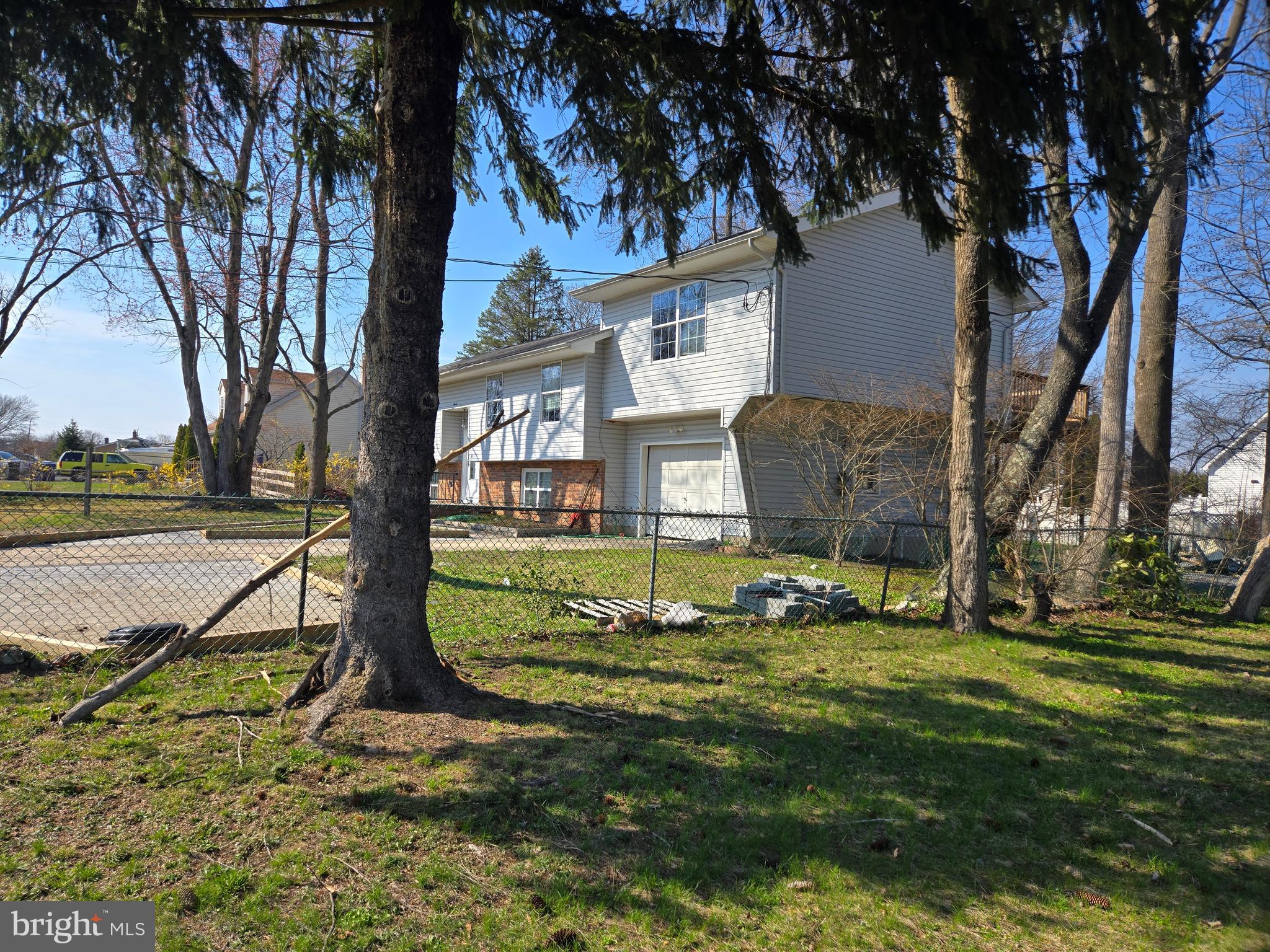 a view of a park that has a tree