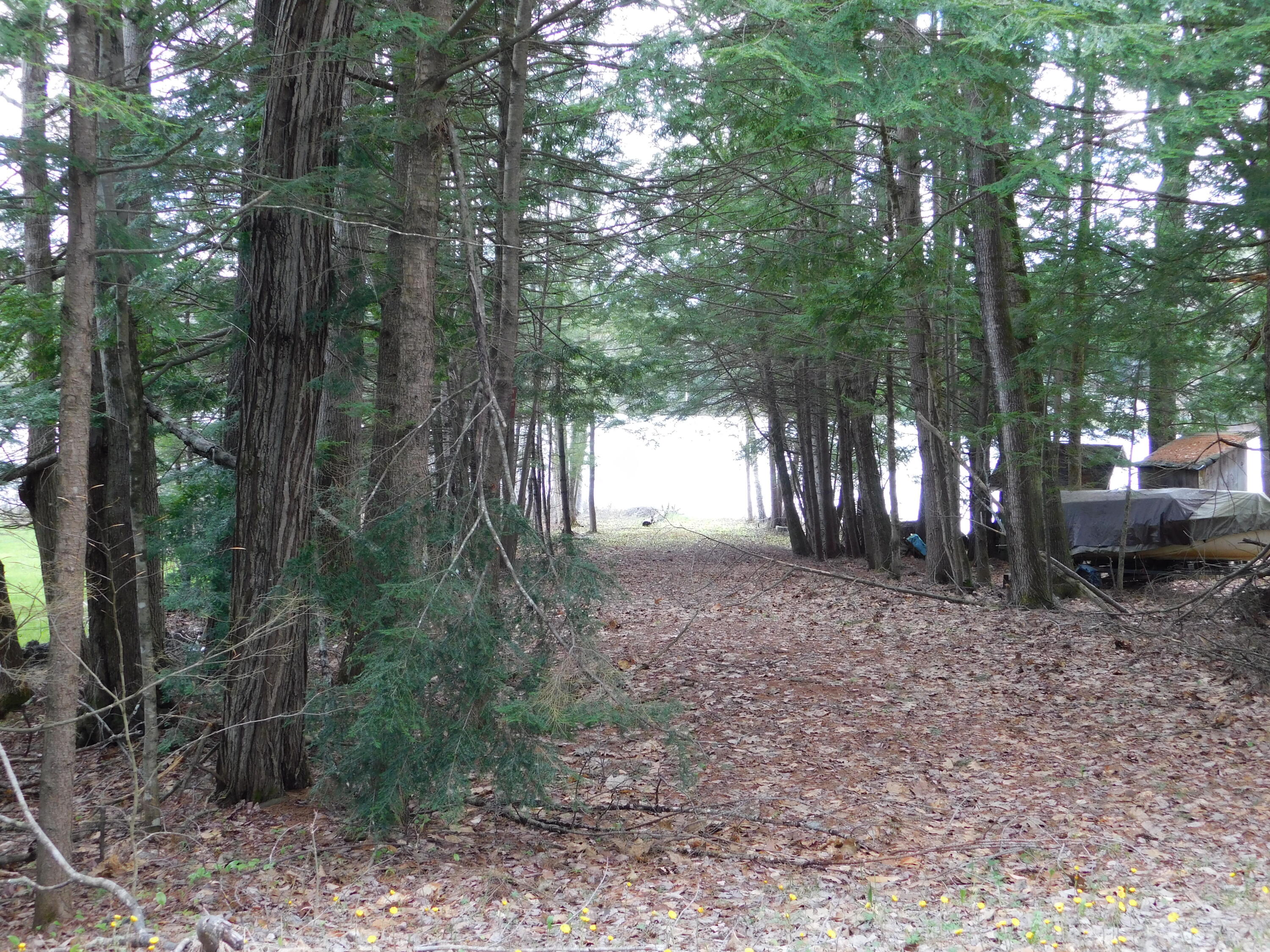 37 Torsey Shores Road Readfield, ME 04355 - Photo 31 of 41 DSCN0736