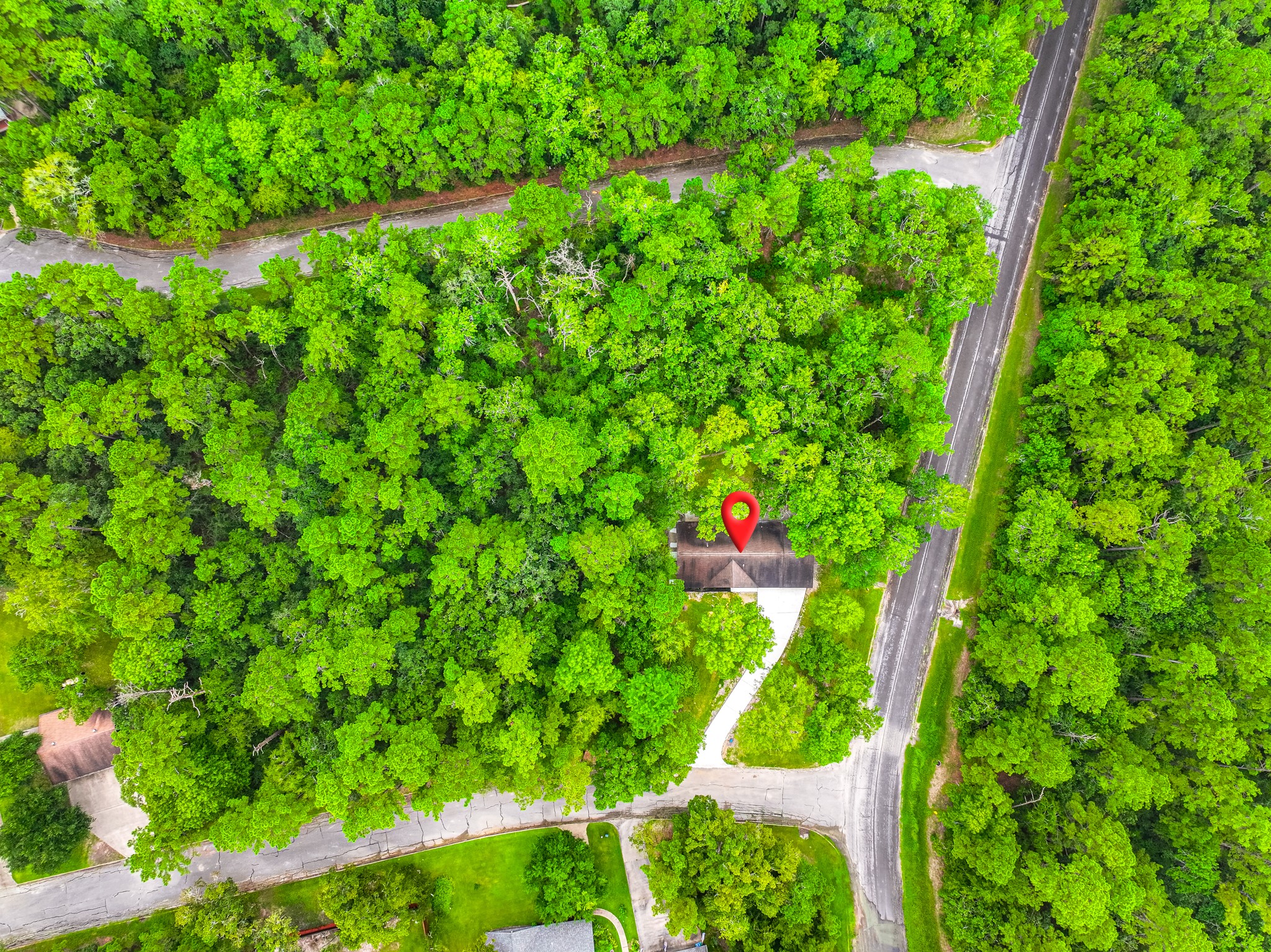 26701 Knottywood Oakhurst, TX 77359 - Photo 43 of 47 a view of a yard with plants and large trees