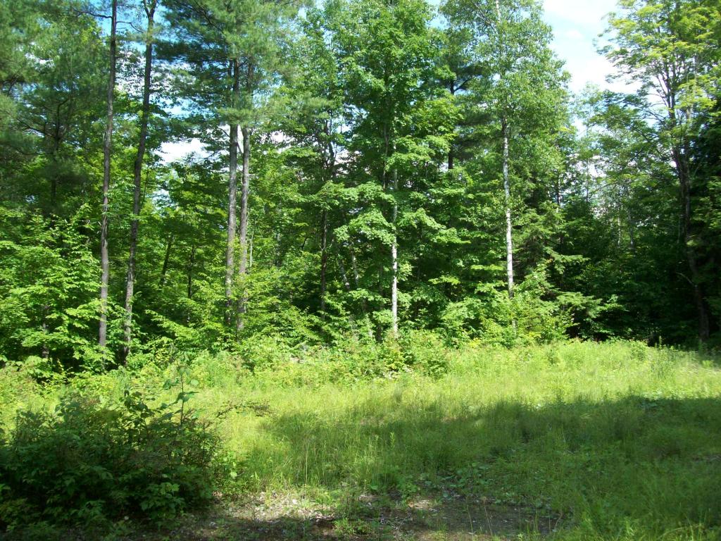 2341 Richardson Road Corinth, VT 05086 - Photo 1 of 12