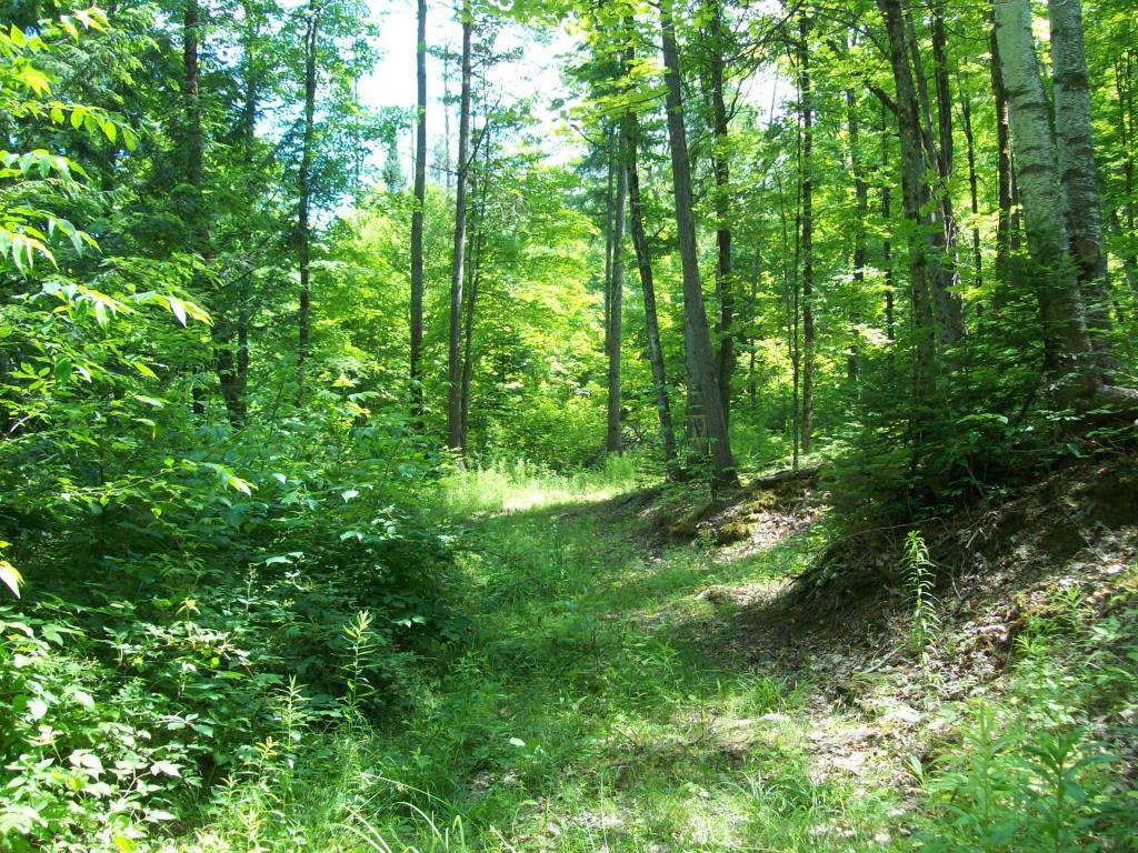 2341 Richardson Road Corinth, VT 05086 - Photo 2 of 12