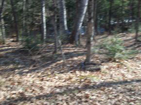 2341 Richardson Road Corinth, VT 05086 - Photo 11 of 12
