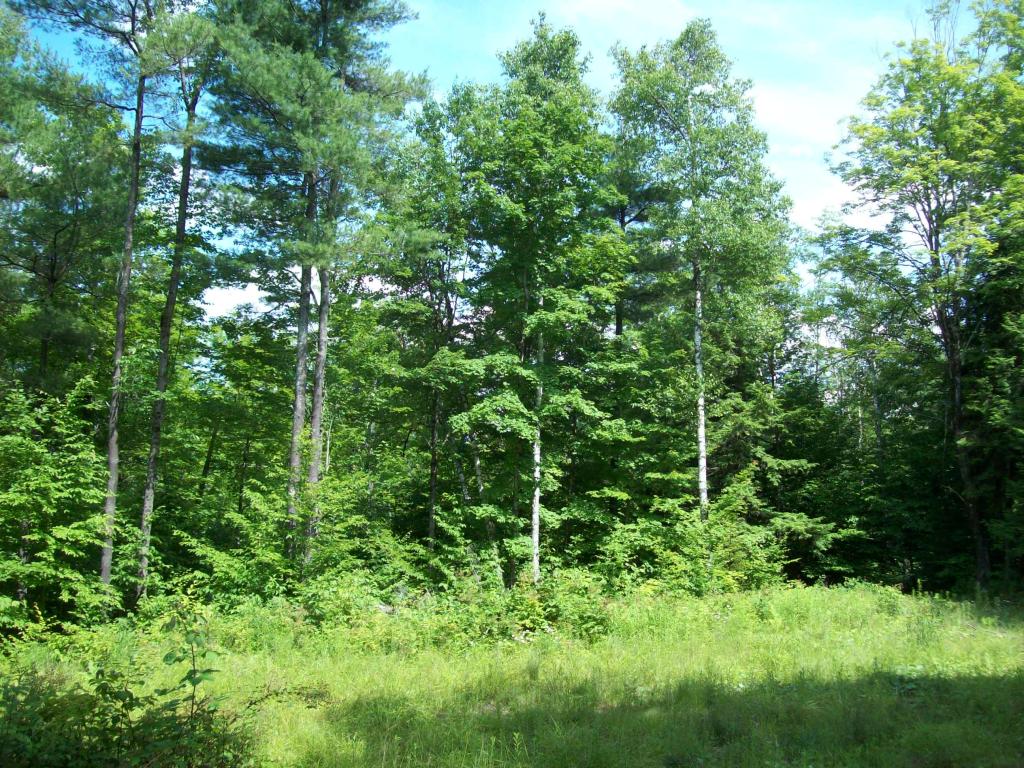 2341 Richardson Road Corinth, VT 05086 - Photo 3 of 12