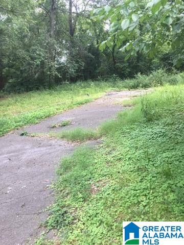 0 Old Road, Unit 4 AND 5 Scottsboro, AL 35769 - Photo 5 of 6