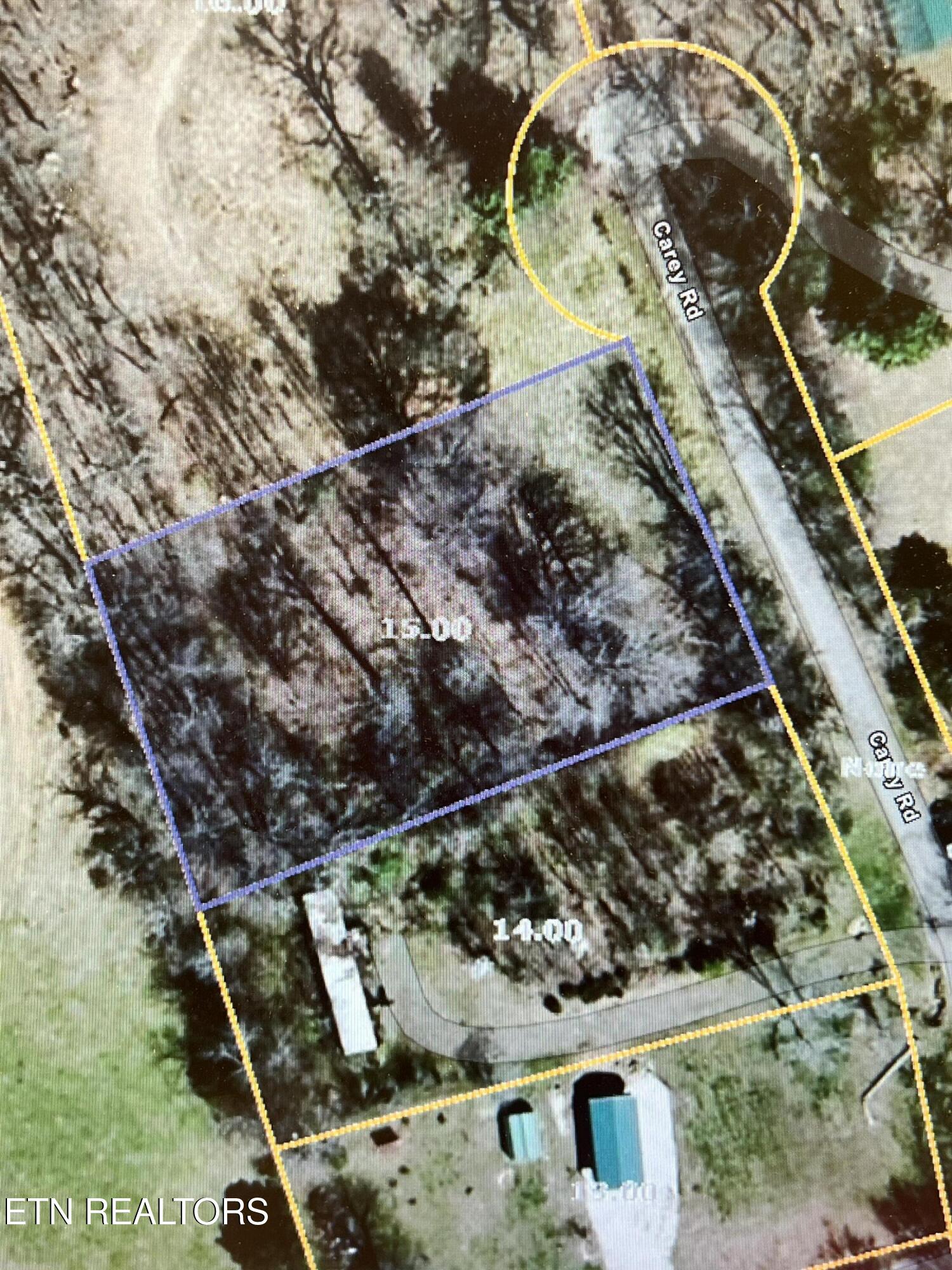 Carey Road Speedwell, TN 37870 - Photo 1 of 1 IMG_9758