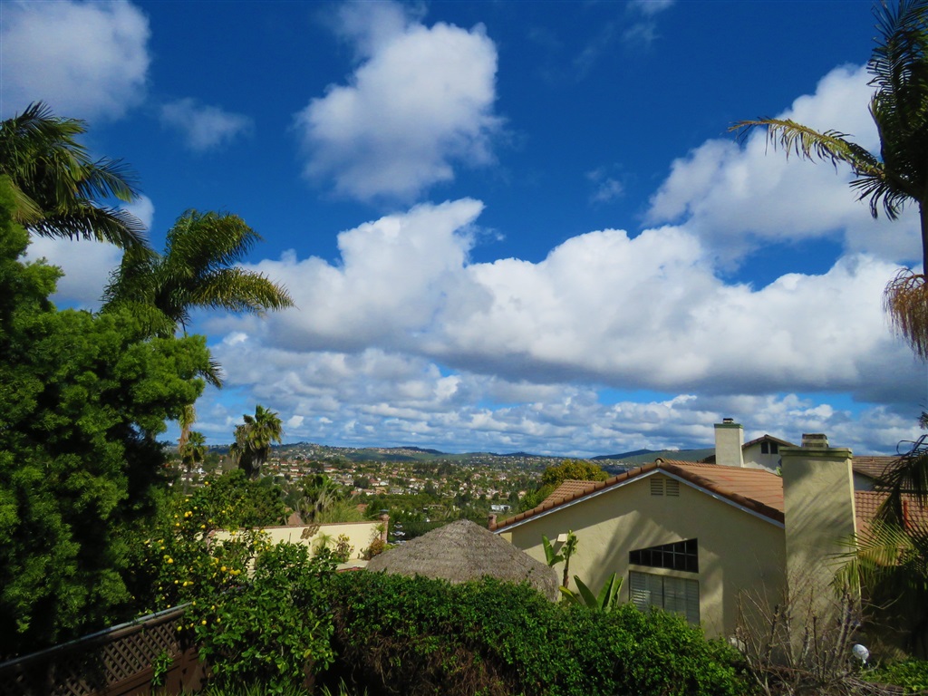 2001 Wandering Road Encinitas, CA 92024 - Photo 7 of 17