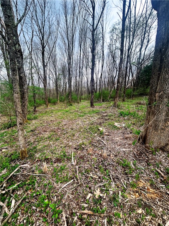 0 Sisson Hill Road Unadilla, NY 13849 - Photo 4 of 10