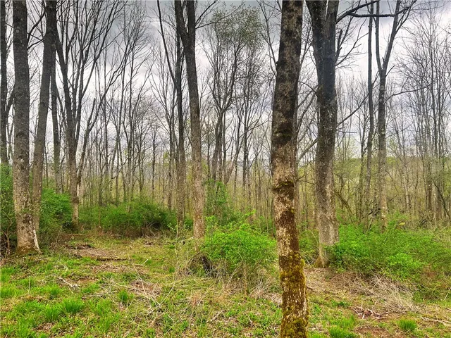 $29,900 | 0 Sisson Hill Road, Unadilla, NY 13849