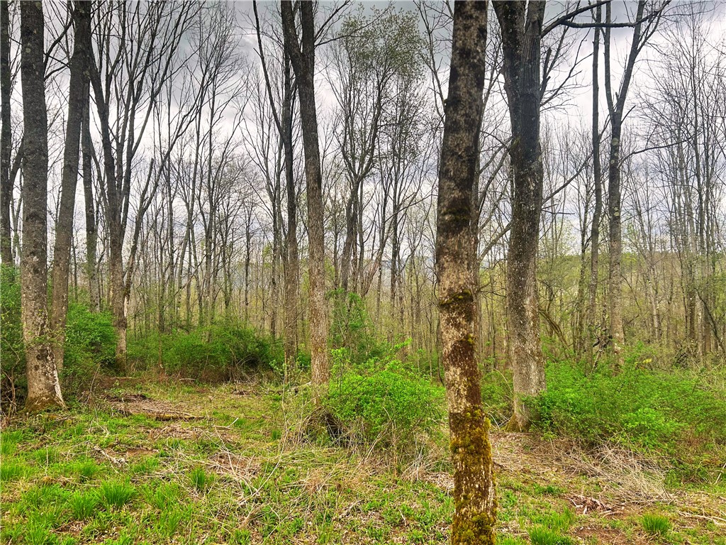 0 Sisson Hill Road Unadilla, NY 13849 - Photo 6 of 10