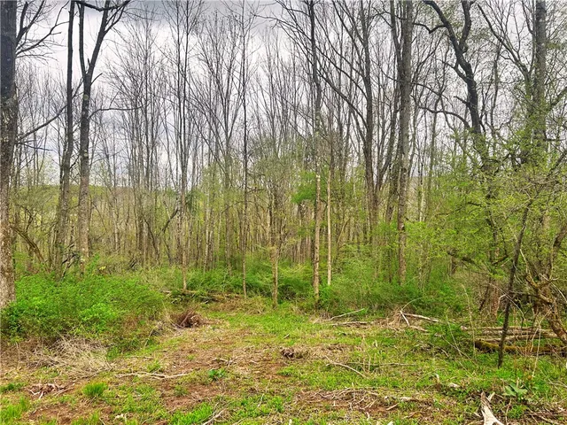 $29,900 | 0 Sisson Hill Road, Unadilla, NY 13849