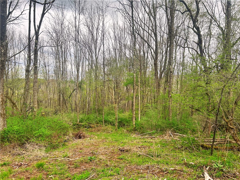 0 Sisson Hill Road Unadilla, NY 13849 - Photo 7 of 10