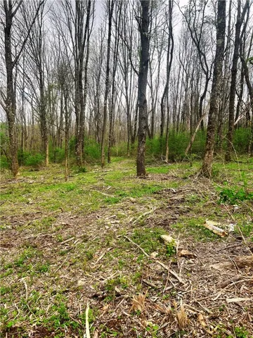 $29,900 | 0 Sisson Hill Road, Unadilla, NY 13849