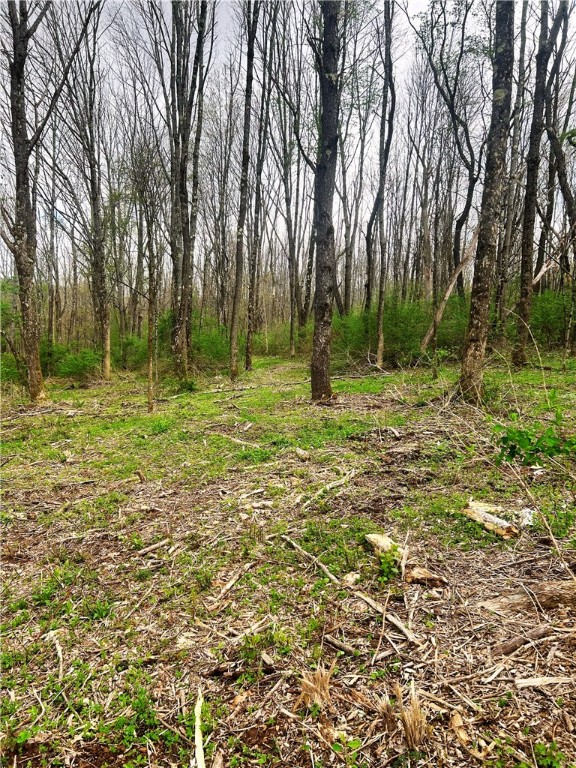 0 Sisson Hill Road Unadilla, NY 13849 - Photo 8 of 10