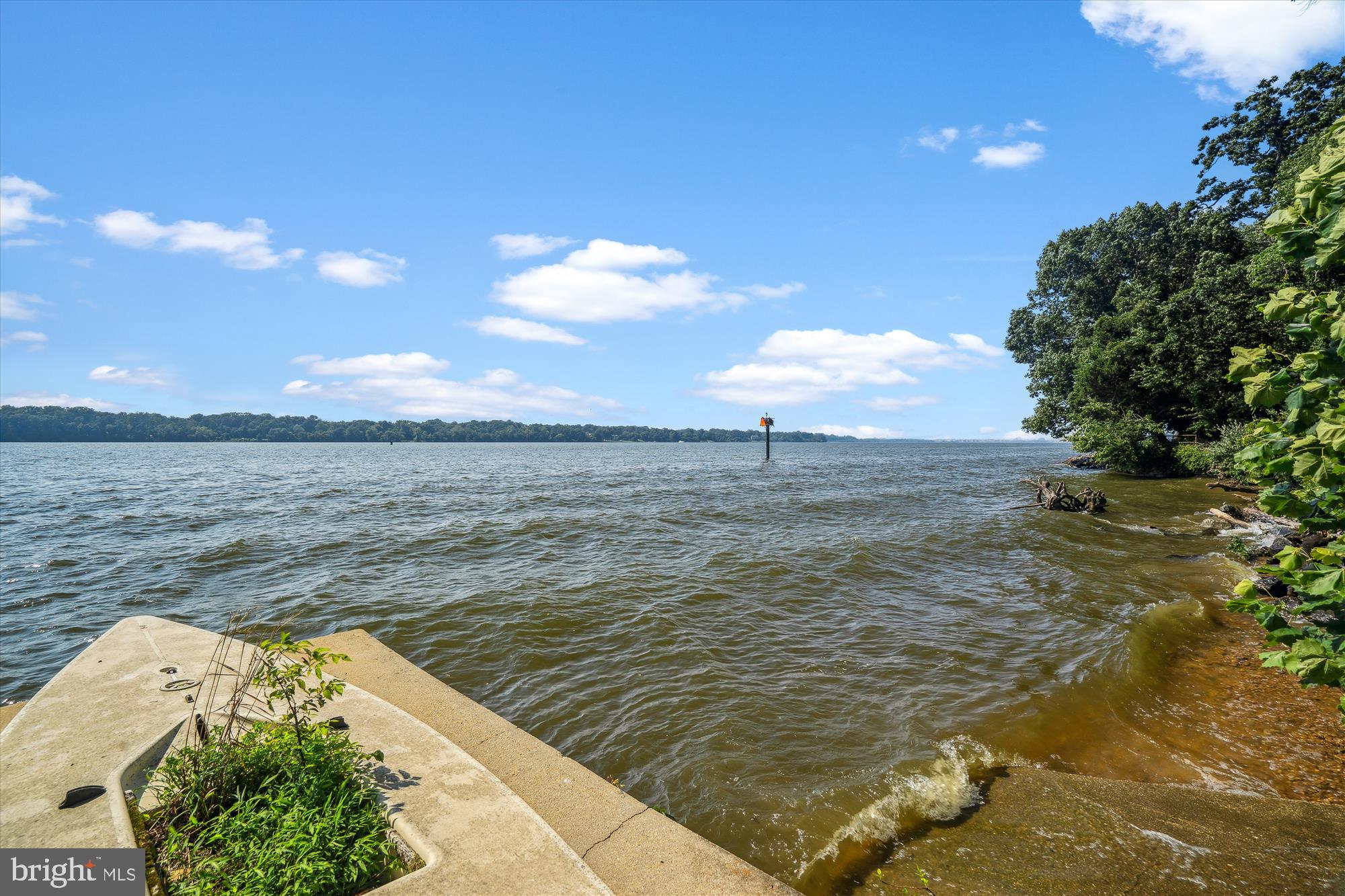 12339 Hatton Point Road Fort Washington, MD 20744 - Photo 2 of 37 View from old ock