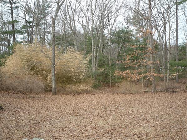 6 Stanley Road Middleton, MA 01949 - Photo 3 of 24 a view of a yard with trees