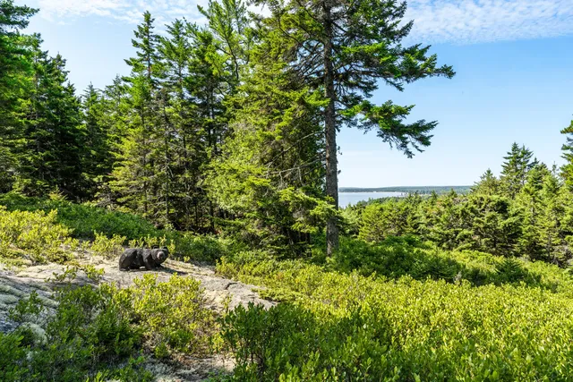 $4,400,000 | 4 Highlands (northeast Hrbr) Ln Mount, Northeast Harbor, ME 04662