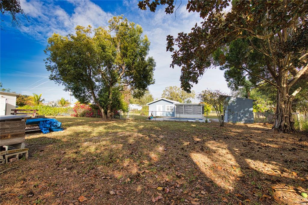 2302 Southeast Red Baron Drive Arcadia, FL 34266 - Photo 33 of 47 a view of a yard with a tree