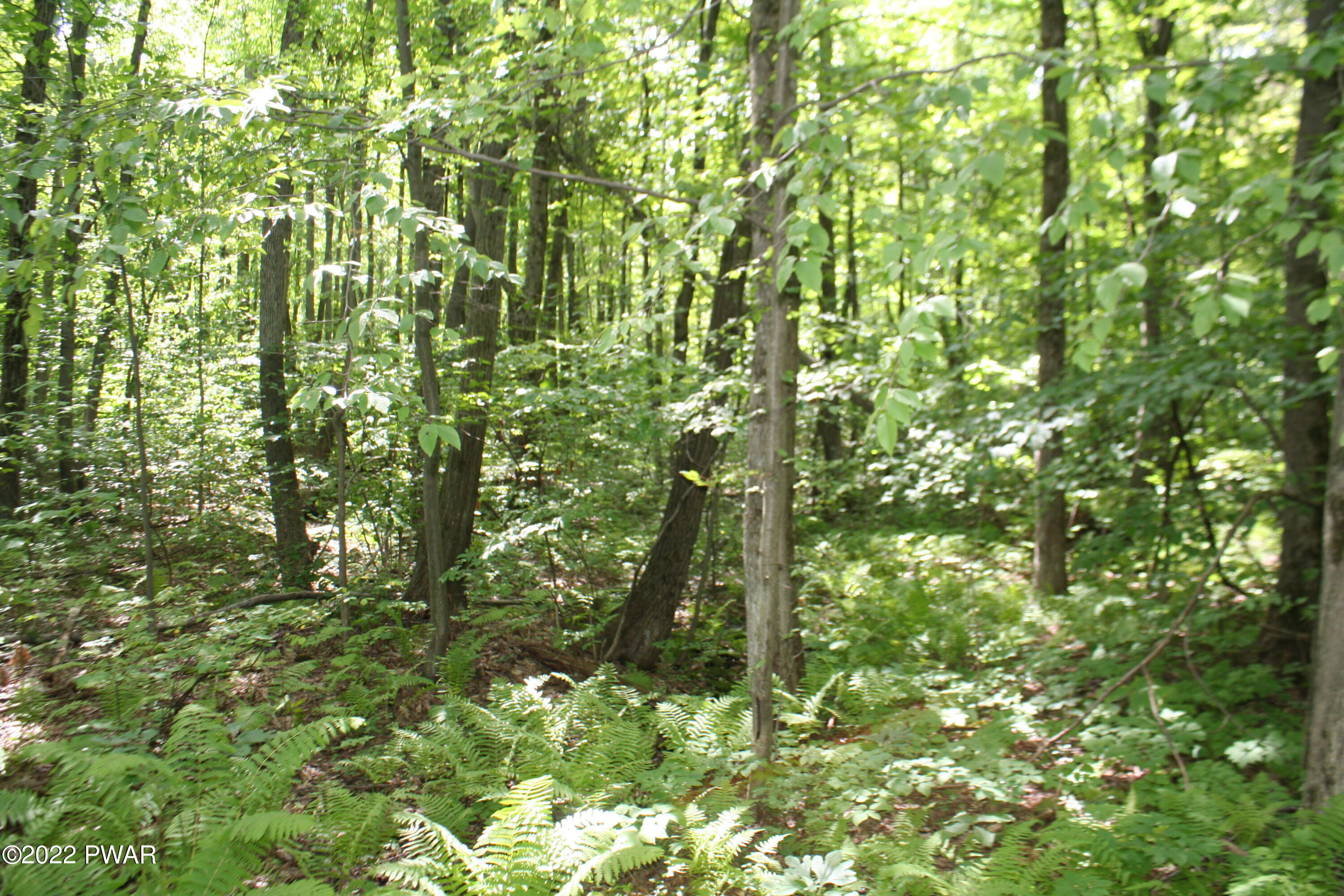 Oak Lane Waymart, PA 18472 - Photo 2 of 9