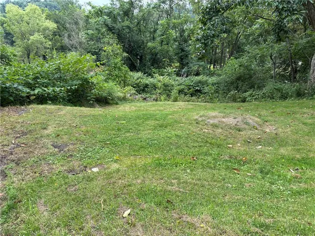 a view of outdoor space and yard