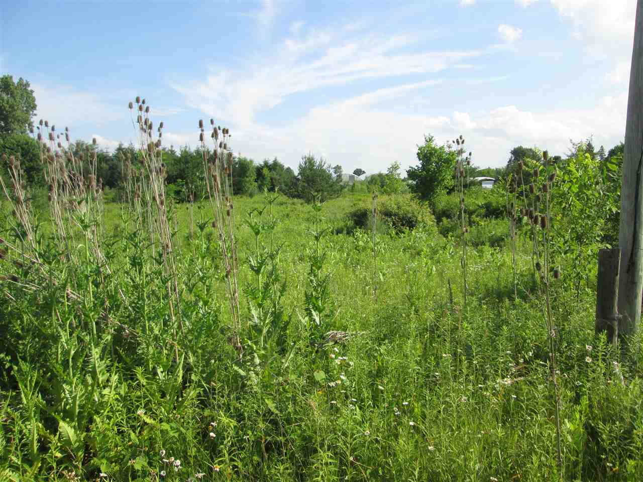 0 Wadhams Road Smiths Creek, MI 48074 - Photo 3 of 7 Gallery Image 3