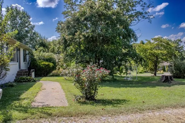 a view of a garden with a tree